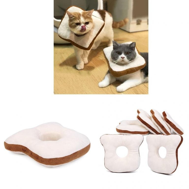 Bread Shaped Pet Collar - Toast Cat Adjustable Collar Wound Healing