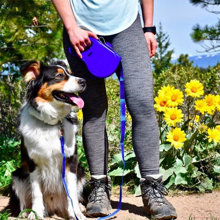 Multi-Functional Dog Leash With Water Bottle Bowl & Waste Bag Dispenser