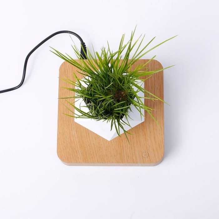 Levitating Pot Floating Plant Pot