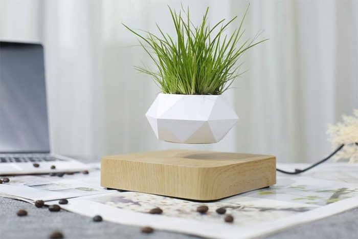 Levitating Pot Floating Plant Pot