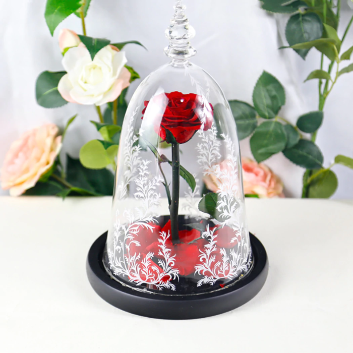 Immortal Enchanted Bell Rose Led Glass Display