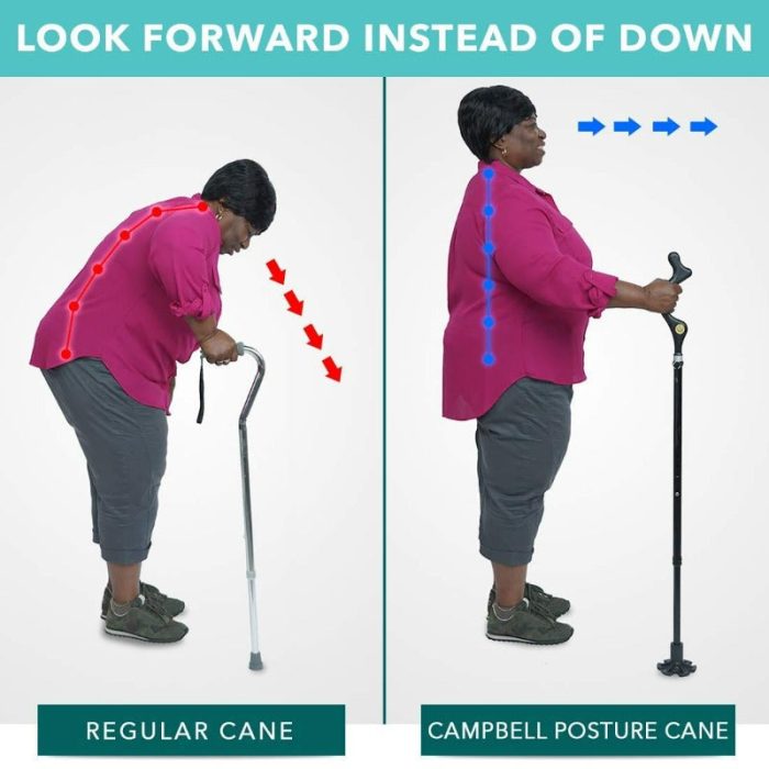 Campbell Foldable Walking Posture Cane