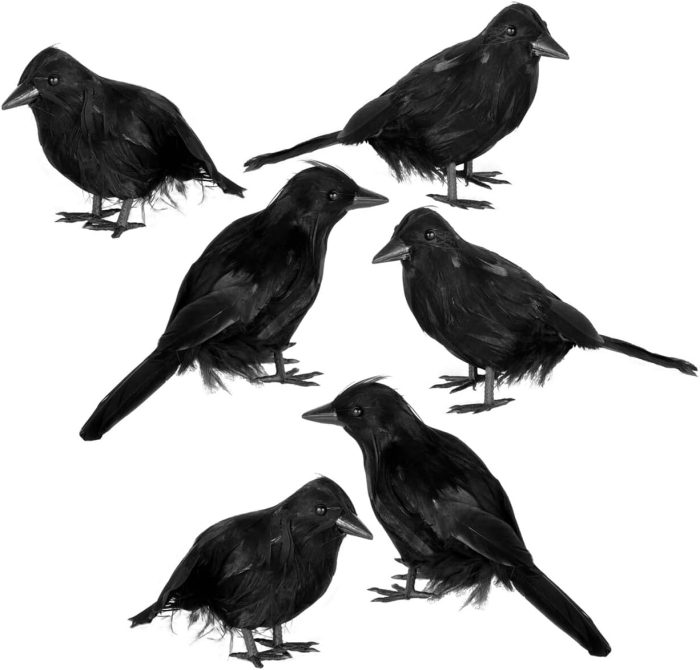 Halloween Black Crows, Realistic Feathered Crow Ravens Prop for Indoor Outdoor Halloween Party Decoration