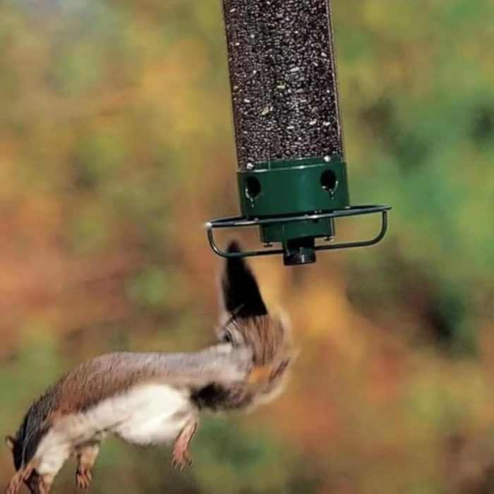 Outdoor Squirrel-Proof Bird Feeder, Wrought Iron Hummingbird Feeder